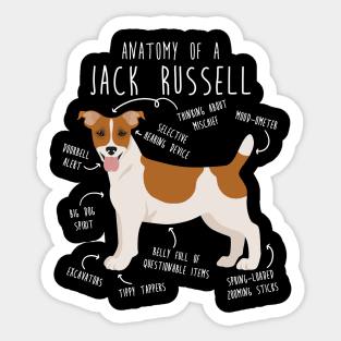 Jack Russell Terrier Dog Anatomy Sticker